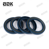 Hydraulic Spare Parts NBR FKM CFW Oil Seal 