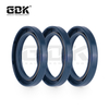 Hydraulic Spare Parts NBR FKM CFW Oil Seal 