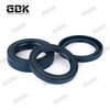 Hydraulic Spare Parts NBR FKM CFW Oil Seal 